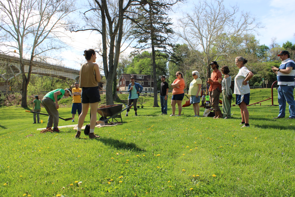 A group of people standing in a mowed park field, gathered to face a demonstration tree planting in front of a wheelbarrow. There are large trees in the background, and a bright blue sky with clouds.
