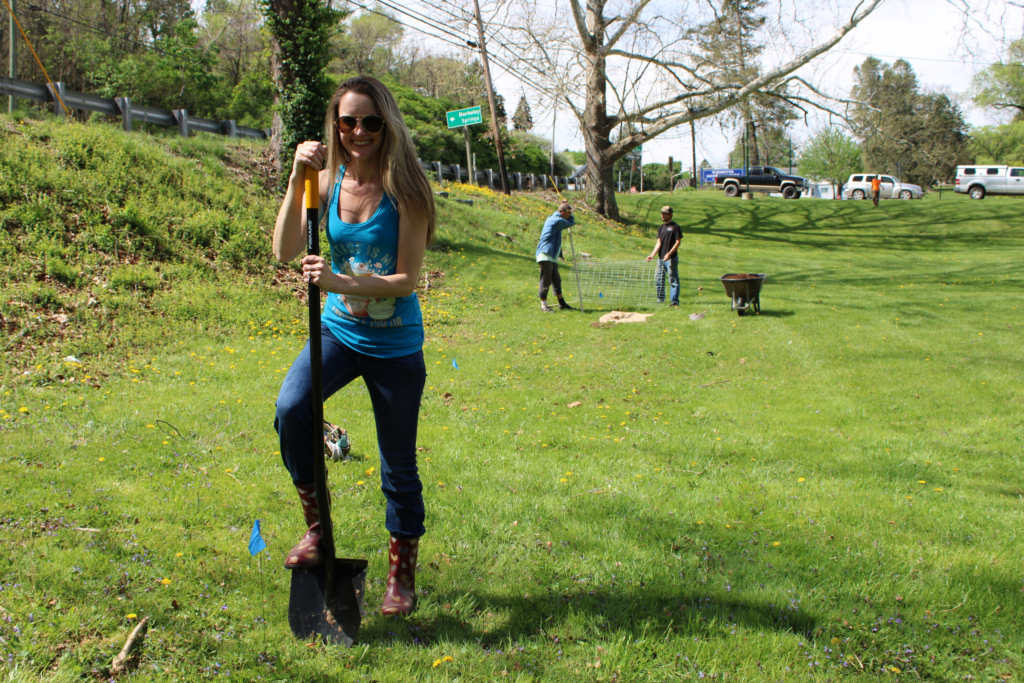 A woman resting a foot on a shovel that she is holding upright, preparing to dig a hole to plant a tree in. She is standing in a mowed park field, with people far off in the background planting another tree. 