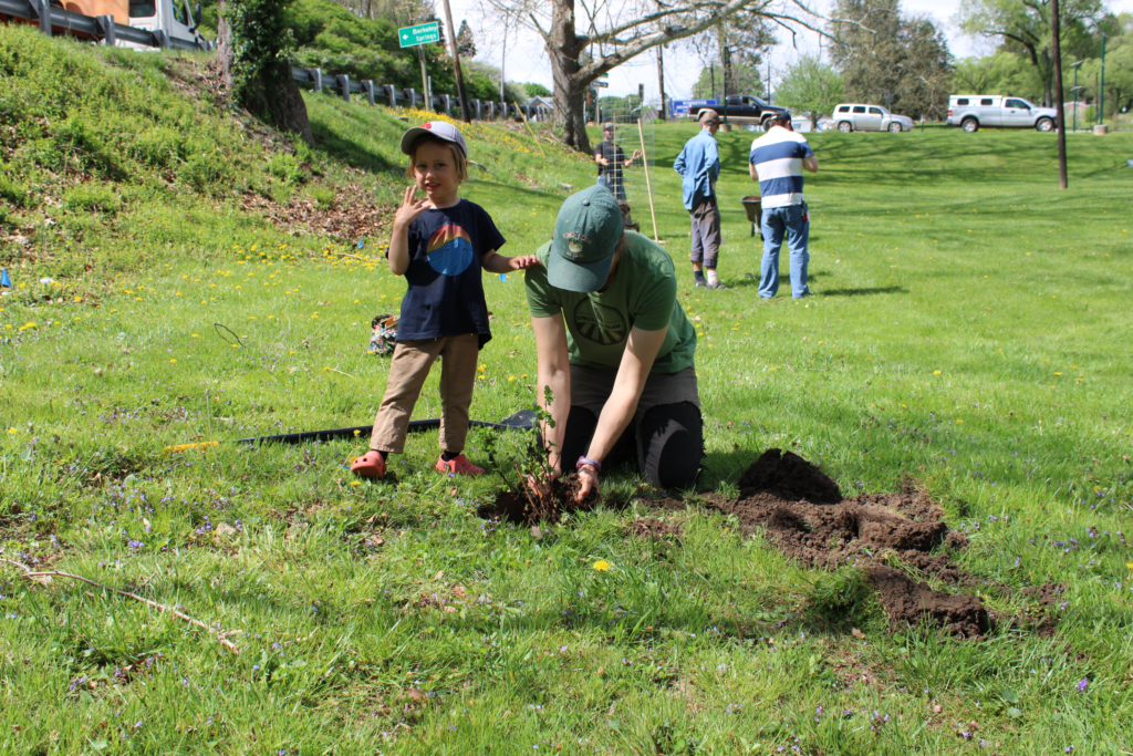 A mother kneeling on grass in a park planting a tree sapling with her bare hands. Her young child is standing to her side, resting an arm on her shoulder. There are two people planting a tree off in the background behind them. 