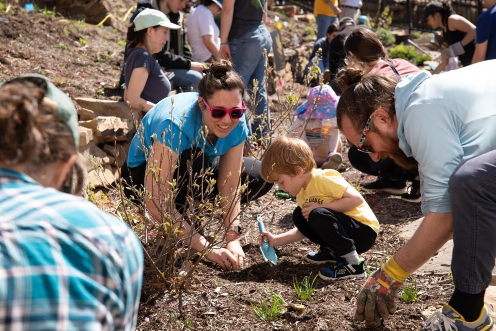 A large gathering of people outside planting into a terraced hillside. The focus is on a woman with red sunglasses and a child in a yellow shirt as they both lean over the hole they are digging. The child is holding a small shovel, and the woman is smiling and watching him.