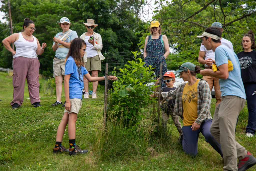 Two children standing and two adults standing and sitting in the grass around a tree sapling planted inside of a net cage with wood stakes holding it up. There is a group of adults standing behind them in the background, in front of a line of taller trees.