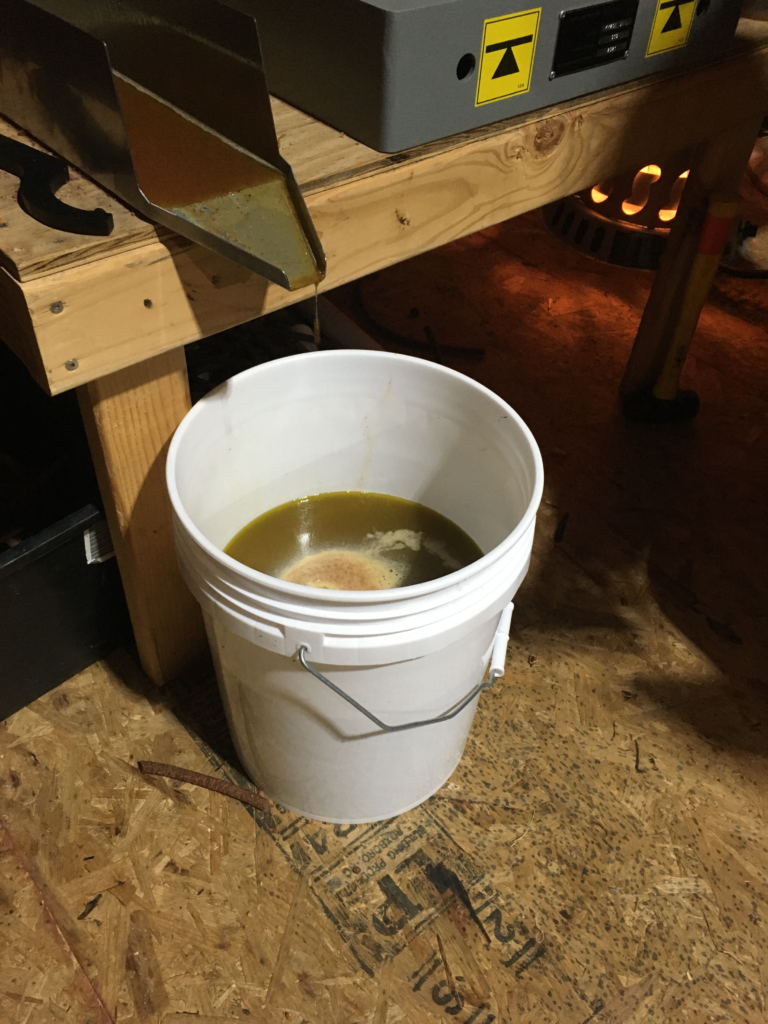 Freshly cold-pressed hickory oil drips into a 5 gallon bucket.